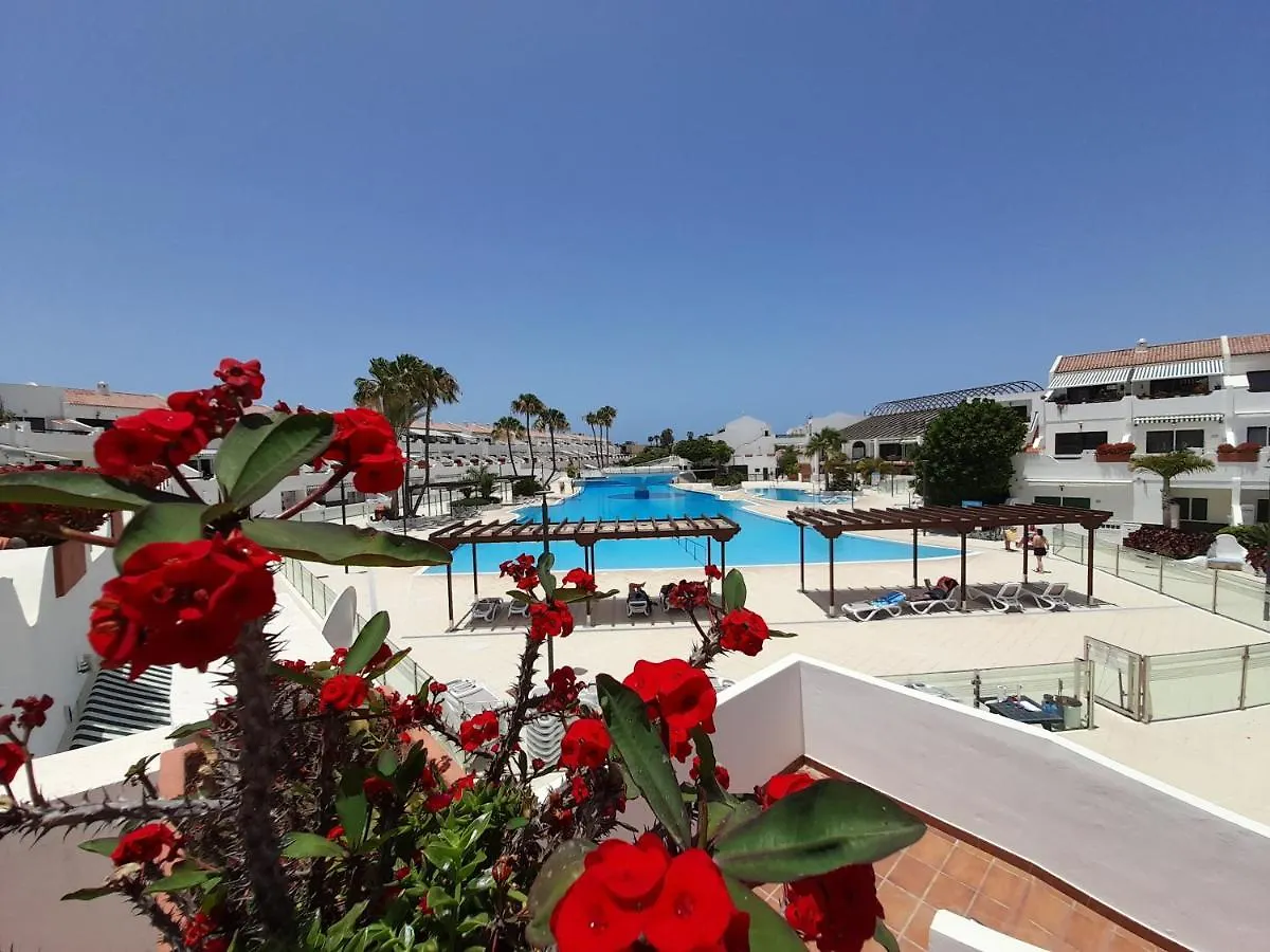 Atico Parque Don Jose 382 Apartment Arona  Spain
