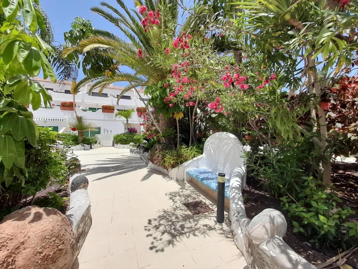 Atico Parque Don Jose 382 Apartment Arona  Arona (Tenerife)
