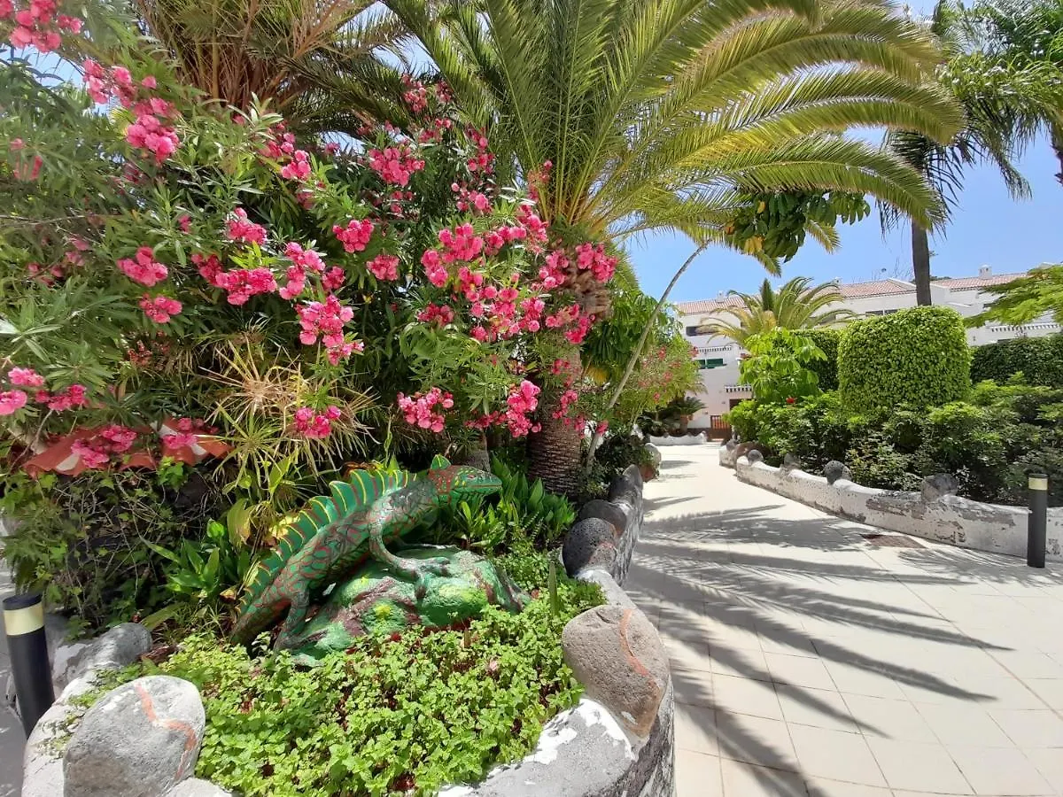 Atico Parque Don Jose 382 Lägenhet Arona  Arona (Tenerife)