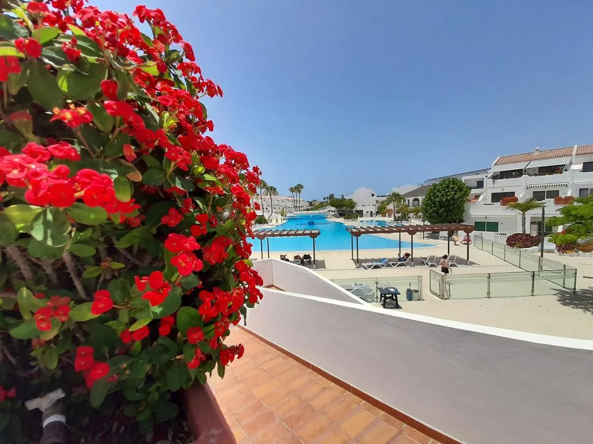 Atico Parque Don Jose 382 Lägenhet Arona   Arona (Tenerife)